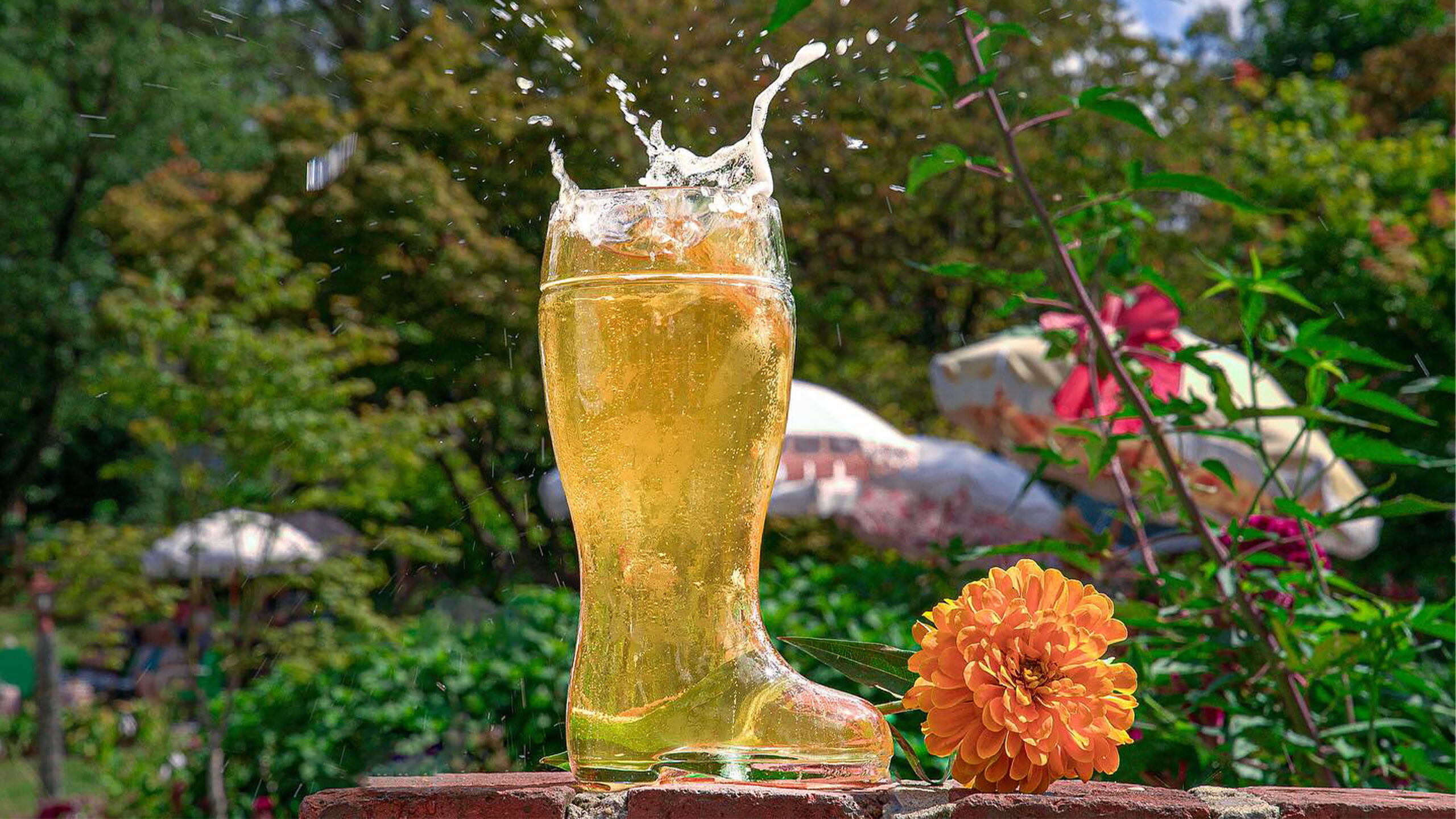 Silver Spring’s Zinnia Honored with Beer Program of the Year RAMMY Award