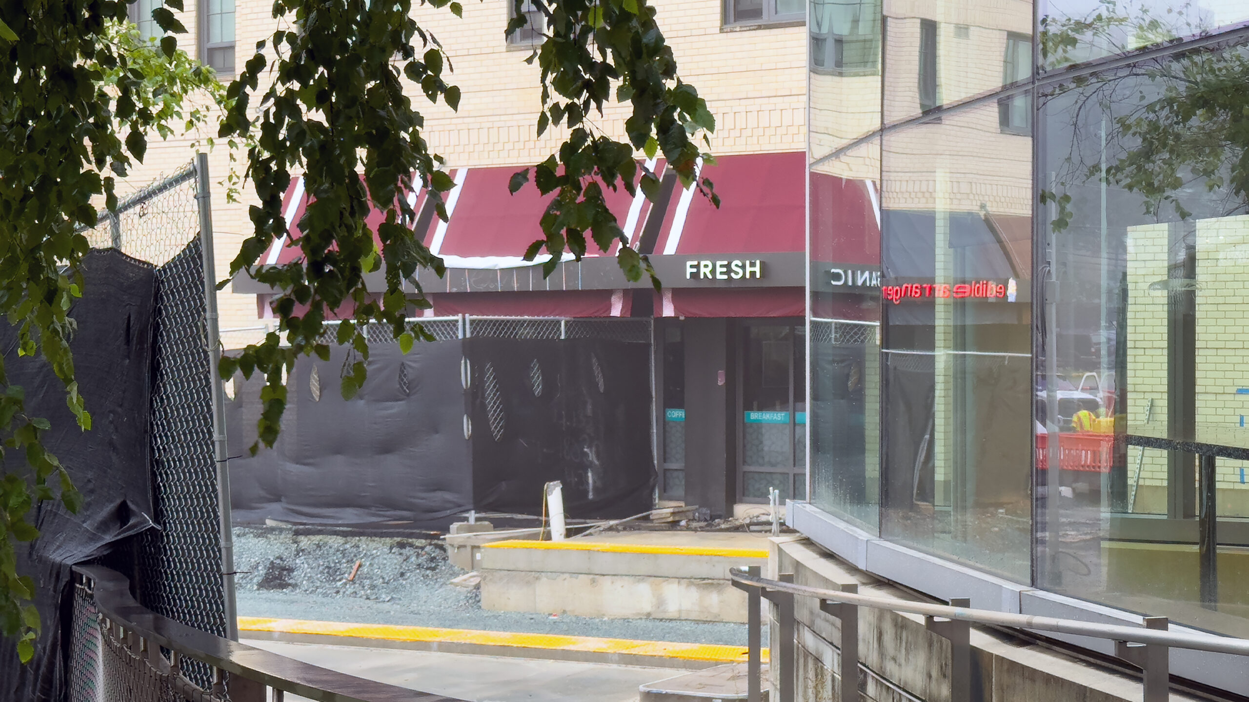 Downtown Silver Spring Welcomes Café via Roma with Italian Classics