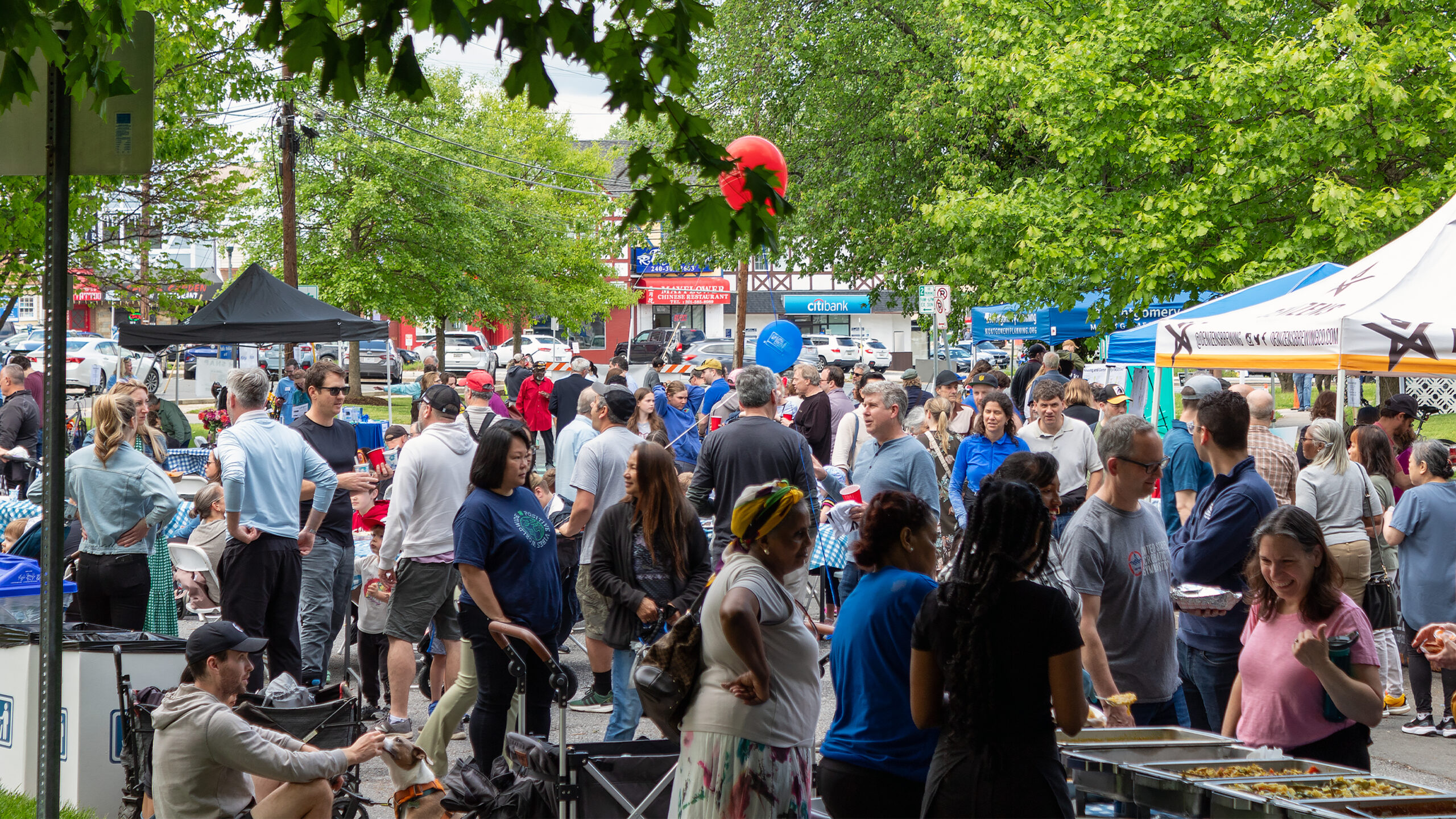 Montgomery Hills Street Fest 2024 Unites Community for Georgia Avenue Safety