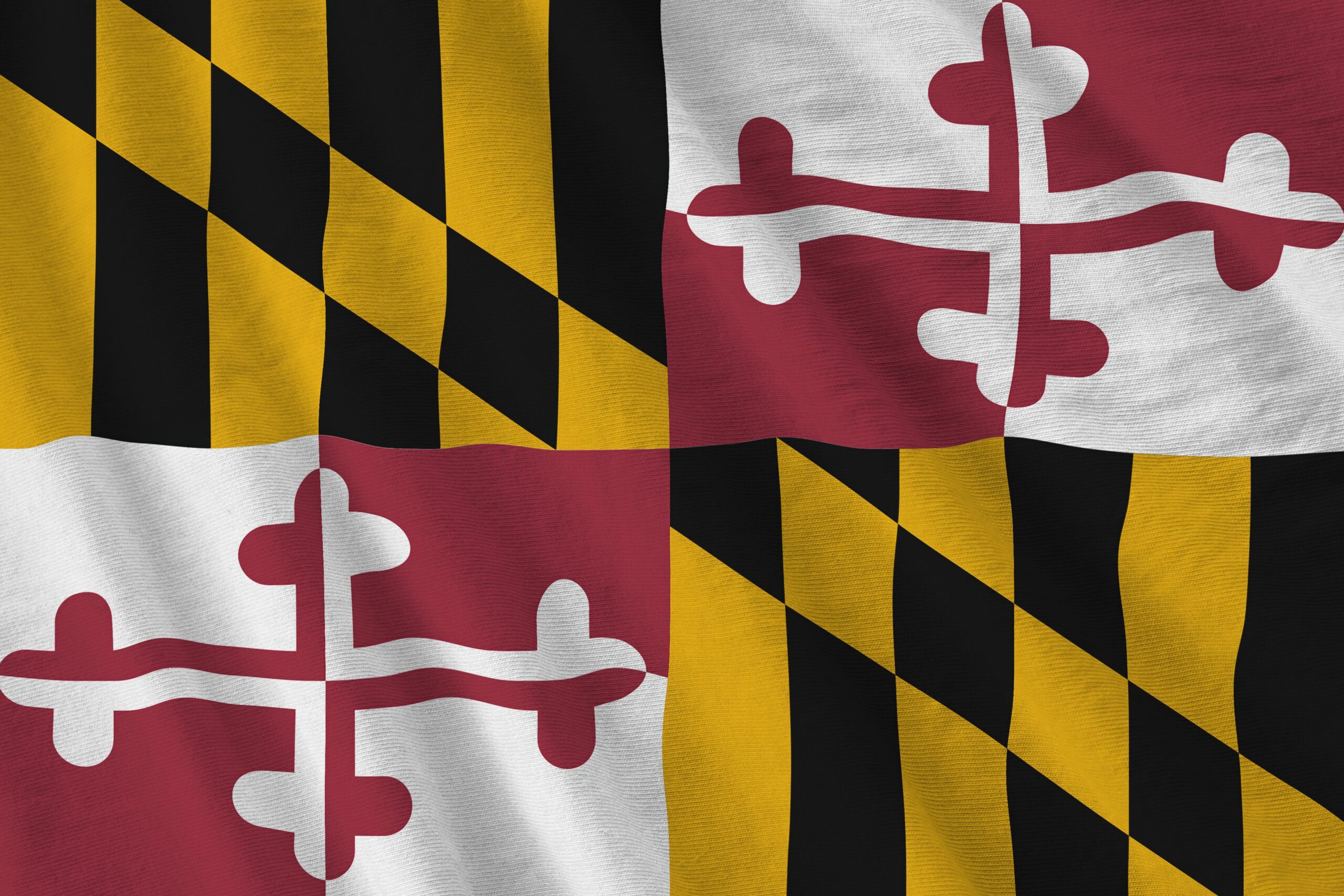 Silver Spring Retains Its Spot as Fourth Most Ethnically Diverse City