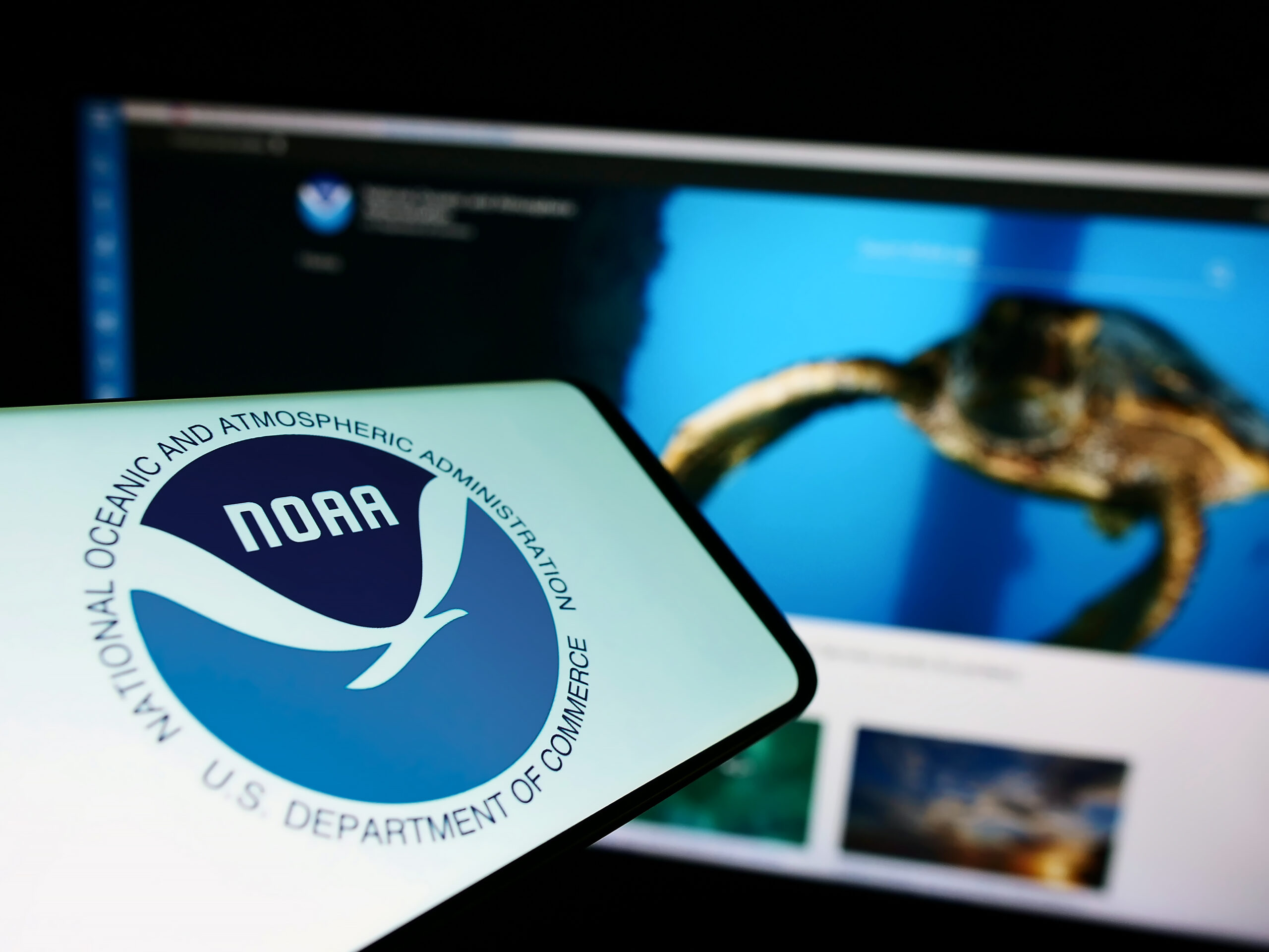 Mass Firings at NOAA by Trump Administration Raise Alarm Among Experts