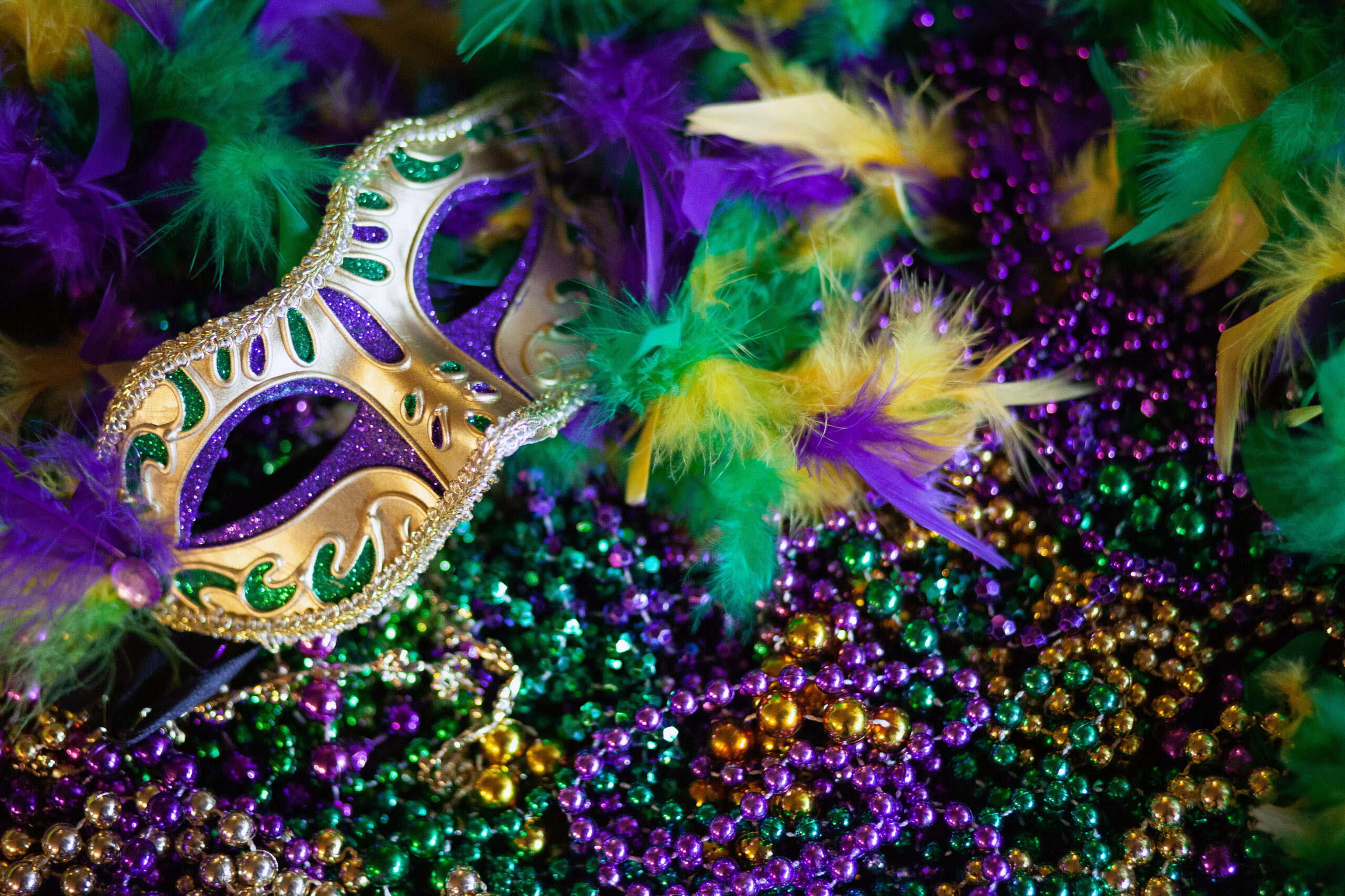Motorkat Hosts Fat Tuesday Bash with Jazz, Beignets, and Cocktails